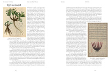 Load image into Gallery viewer, The Cultures of Perfume: Scents that Shaped History
